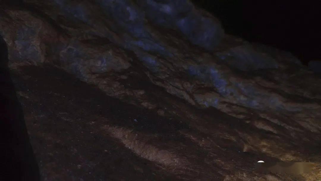 鼻郎中鼻炎康复中心评价（患者口碑好不好）
