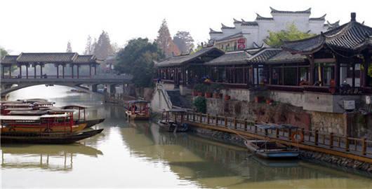 寻找沙漠珍宝